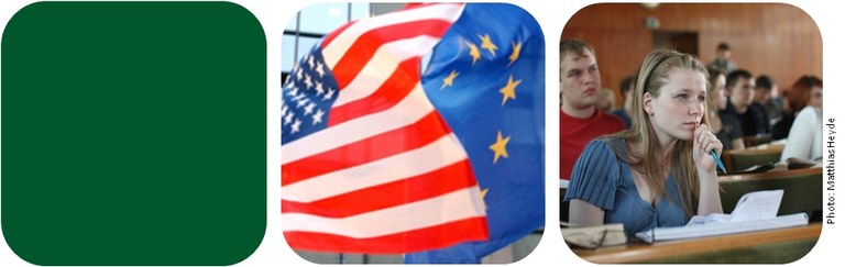 Banner_TAM-2